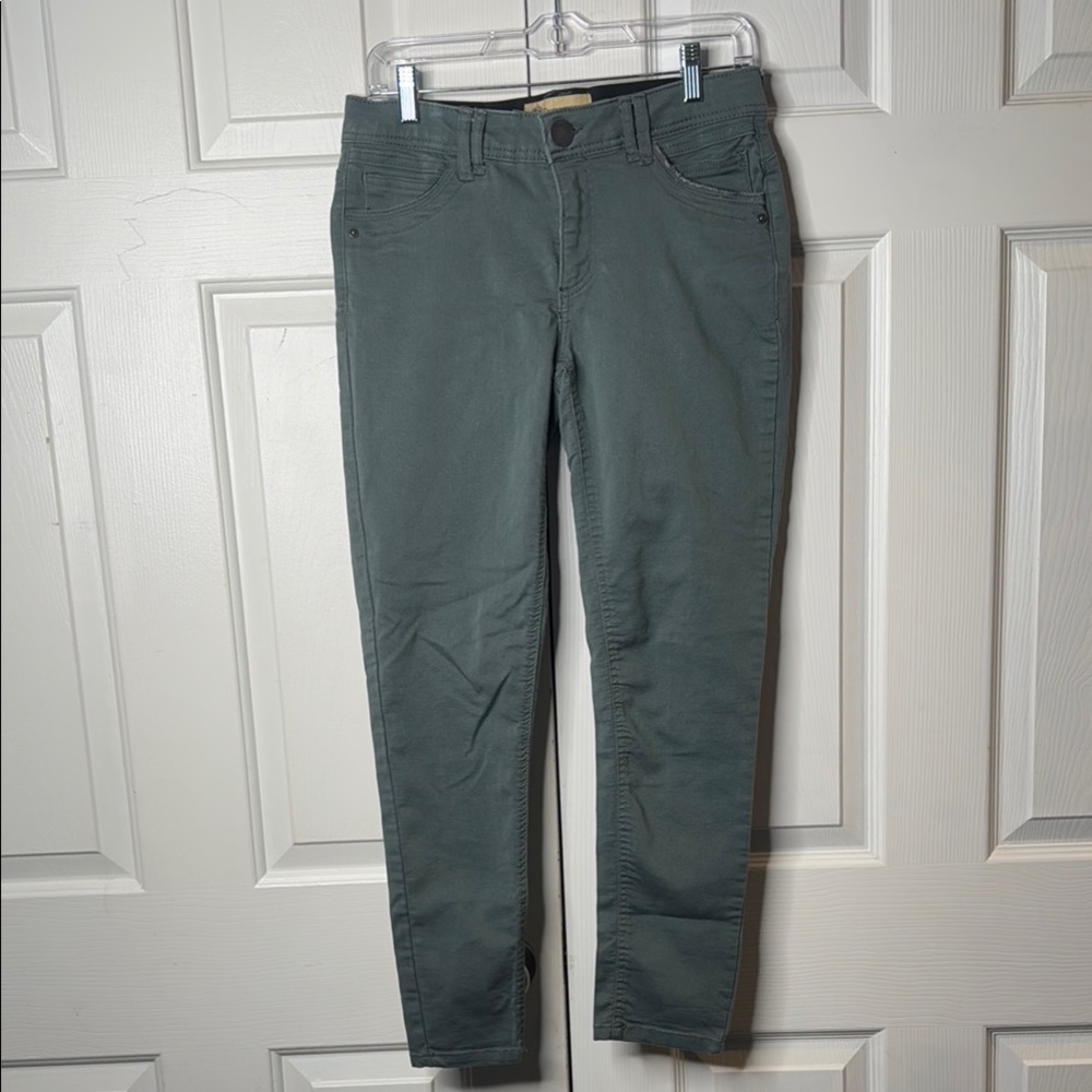Democracy Teal Skinny Jeans